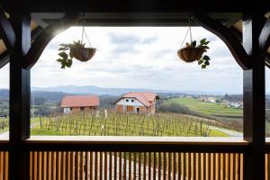 Billede fra billedgalleriet på Apartment Angelina i Metlika + 16 billeder