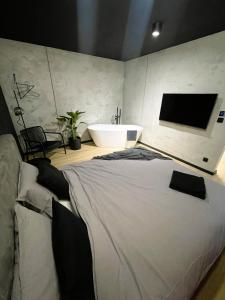 Μια τηλεόραση ή/και κέντρο ψυχαγωγίας στο Apartament Imperial Przedmieście