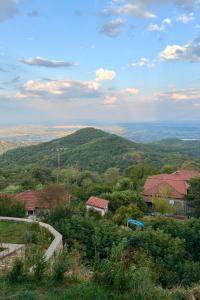a view of a mountain with trees and buildings at Mesie Nicola 700 