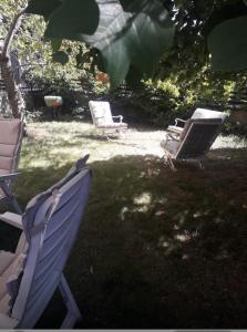 Κήπος έξω από το La Villa dei Ciliegi