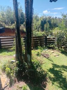 Zahrada ubytování Cabaña melinka y Cabaña Grande