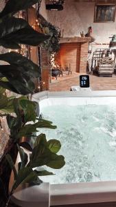 Un jacuzzi con una planta en una habitación. en LARCADE Loft Industrial, en Castillo de Bayuela