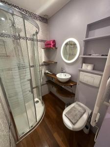 ein Badezimmer mit Dusche, Toilette und Waschbecken in der Unterkunft Sweet Home in Beaumont-sur-Oise