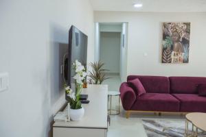 TV a/nebo společenská místnost v ubytování The Oasis Airport pick up WiFi Central