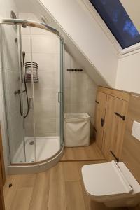 Kaszëbsko Nórcëk 8-10 osób 4 sypialnie jezioro las park linowy łowisko wędkarskie في Załakowo: حمام مع دش ومرحاض