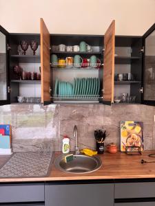 a kitchen with a sink and a counter top at Villa “Eleon” in Velyka Bihanʼ +35 photos