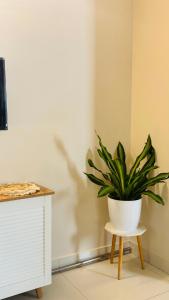 Et tv og/eller underholdning på BOHO Living