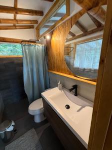 een badkamer met een wastafel, een toilet en een spiegel bij Cabaña montaña Choachi in Choachí