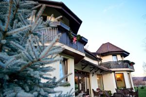 a house with a christmas tree in front of it at Natura Family Resort in Avrig