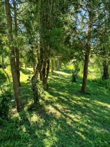 Zahrada ubytování chacra el portal + 4 fotografie