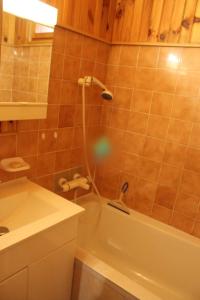 a bathroom with a shower and a sink and a tub at Chez David in La Celle-sous-Gouzon