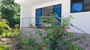 uma casa com uma porta azul e um arbusto com rosas vermelhas em Paraiso Escondido Guachaca em Guachaca mais 1 fotografia