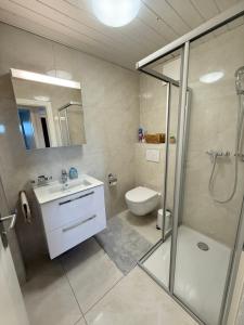 een badkamer met douche, wastafel en toilet bij Torrent House in Bouveret +21 foto's