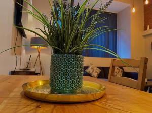 un jarrón verde con una planta en una mesa en Spacious City Centre Apartment With Free Parking, en Midland