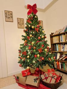 Külalistemaja raamatukogu +25 fotot