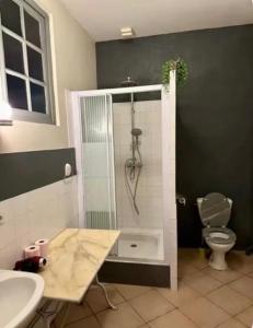a bathroom with a shower with a toilet and a sink at Aux Ecuries du Signe in Amboise