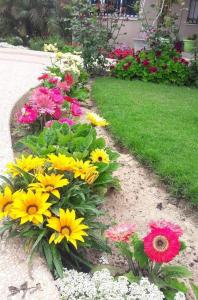 Zahrada ubytování 4 Seasons Suites Paradise Athens Airport + 37 fotografií