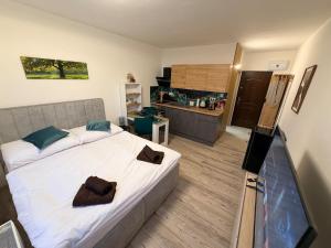 une chambre avec un lit et une télévision dans l'établissement SkyView Studio Vlčince with private parking, à Žilina