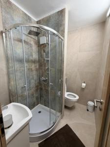 une salle de bains avec douche et toilettes dans l'établissement SkyView Studio Vlčince with private parking, à Žilina