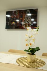 Una televisión o centro de entretenimiento en Apartments Kolín II & Penzion Navara 8 fotos más