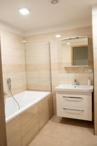 Un baño de Apartments Kolín II & Penzion Navara