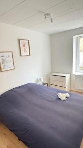 Un dormitorio con una cama azul y una ventana. en Cosy 3 - Belfort centre, en Belfort 17 fotos más