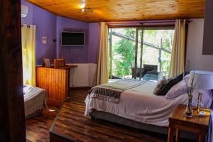 1 dormitorio con paredes moradas y 1 cama con ventana en Estero El Claro Hotel y Cabañas, en Pucón