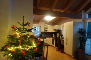 Η κουζίνα ή μικρή κουζίνα στο Ferienwohnung Mader +30 φωτογραφίες