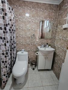 um banheiro com vaso sanitário e pia em Ruka Austral em Punta Arenas