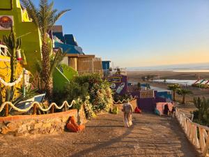un cane che cammina lungo una strada vicino a una spiaggia di Dar Mogador Sun near Taghazout - Surf, Sea, colorful village a Taghazout