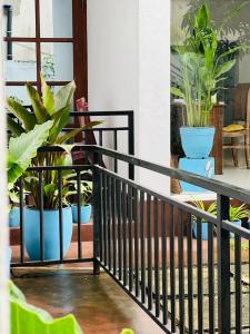 Балкон или терраса в Azure Mirissa +122 фотографии