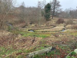 Příroda nedaleko kempu