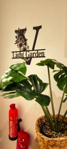 Gallery image of Light garden in Limassol