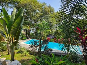 a swimming pool in a garden with plants at Beach resort playa Leona in Gigantes