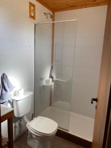 un bagno bianco con doccia e WC di Cabaña Isi Cdelu a Concepción del Uruguay