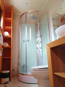 un baño con ducha y WC en Preciosa casa rural, Llau llao,Castro, Chiloé, en Castro
