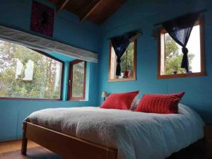 1 dormitorio con paredes azules y 1 cama con almohadas rojas en Preciosa casa rural, Llau llao,Castro, Chiloé, en Castro