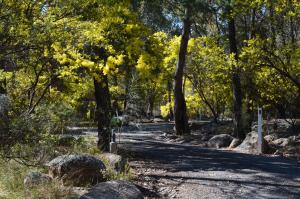 Paesaggio naturale nelle vicinanze del bed & breakfast