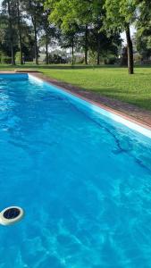 ein blauer Pool mit Frisbee darin in der Unterkunft Casa quinta Cerrito Colorado in Junín