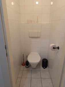 uma pequena casa de banho com WC numa cabina em Stylish Old Town Apartment with Infrared Sauna em Linz