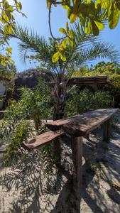 a wooden bench sitting in front of a tree at Mirante Morere in Moreré