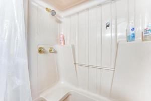 Ένα μπάνιο στο Dog-Friendly Home with Dock on Suwannee River! +24 φωτογραφίες