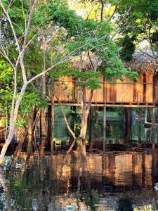 a house in the water with trees in front of it at Hotel Arara Azul in Manaus