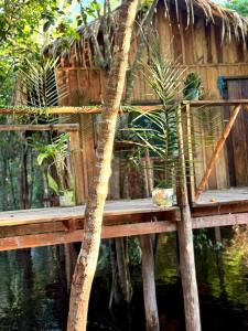a wooden platform with a tree in front of a house at Hotel Arara Azul in Aiparuça +25 photos