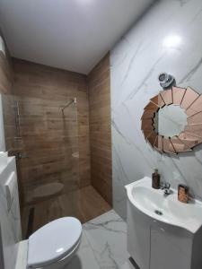 a bathroom with a toilet and a sink and a shower at Eleon in Novi Sad +4 photos