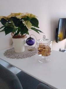 Apartament Bimba & Free Parking في بوزنان: طاولة عليها نبات و مزهرية