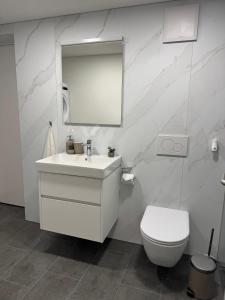 a bathroom with a white sink and a toilet at Louisa's Loft - Auszeit in den Bergen & der Natur für Familien, Freunde und Paare - Wandern & Seen - 1h ab Zürich in Alt Sankt Johann +55 photos