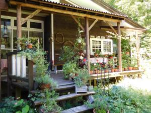 Zahrada ubytování Country Lodge Farmstay