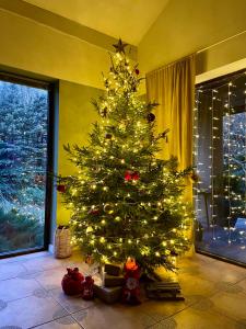 Φωτογραφία από το άλμπουμ του Forest Villa w pobliżu Suntago σε Krzyżówka