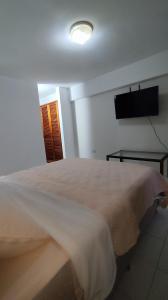 Un dormitorio con una cama y un televisor de pantalla plana. en Hospedaje en Valencia Tipo Estudio, en Valencia
